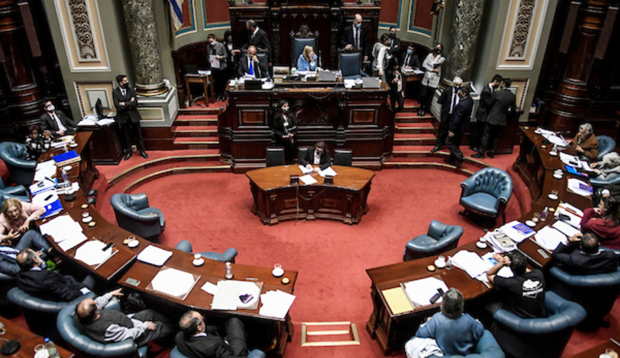 imagen de Así estará conformado el Senado