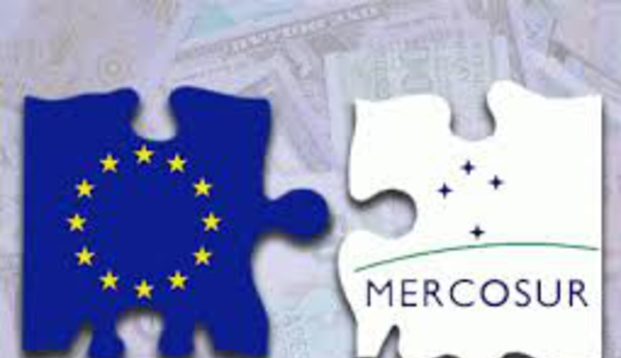 imagen de Por 484 votos en 555 el Parlamento francés rechazó el acuerdo con el Mercosur