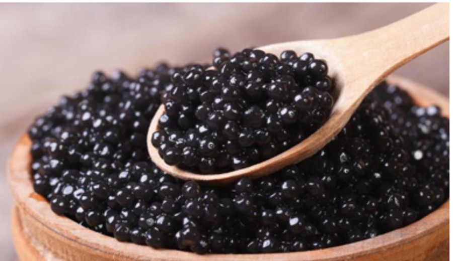 imagen de Esteban Valenti