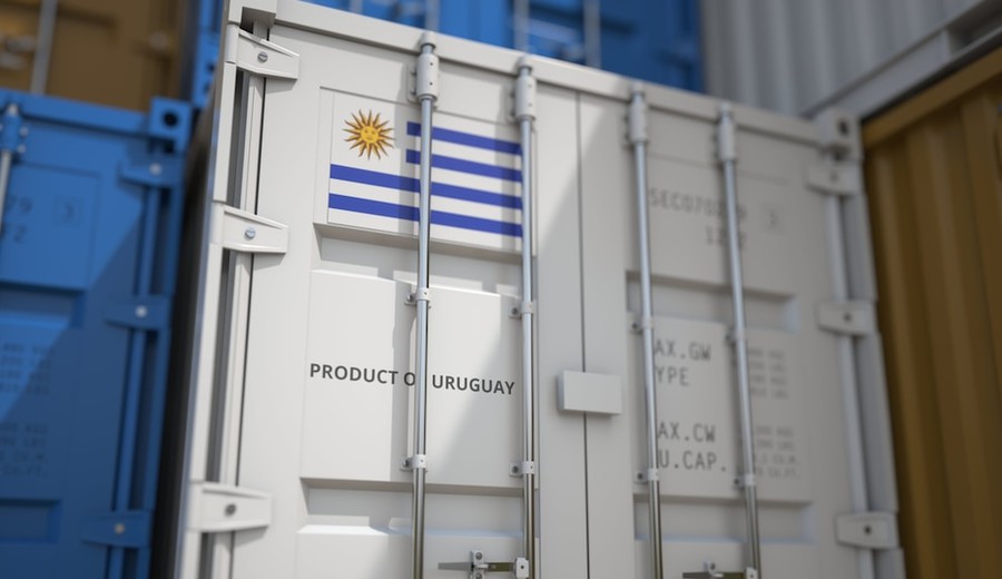 imagen de Exportaciones aumentaron 4% en primer semestre del año