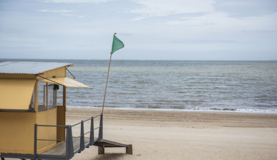 imagen de Cianobacterias en playas de la capital
