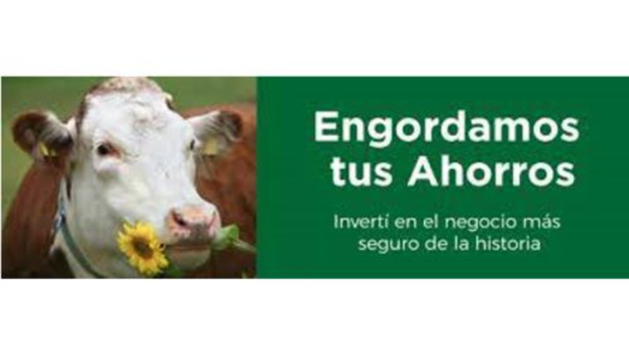 imagen de Demasiados delitos gordos y juntos. Esteban Valenti