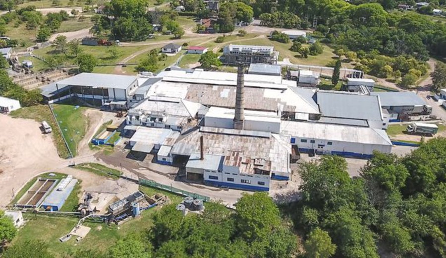 imagen de Frigorífico Casa Blanca envía a 450 trabajadores al seguro de paro: 80 empleados continuarán trabajando en la empresa 