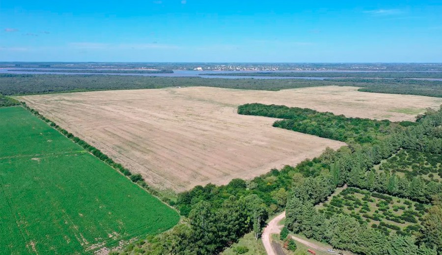 imagen de Un megaproyecto sobre el río Uruguay puso en alerta a Entre Ríos y hace resurgir el conflicto de Botnia