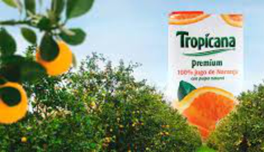 imagen de Argentina: Tropicana,  histórica marca de jugos, está al borde de la quiebra