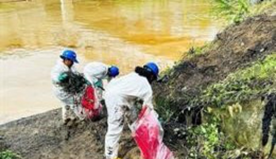 imagen de Ecuador declara la emergencia medioambiental por la rotura de un oleoducto en el norte del país