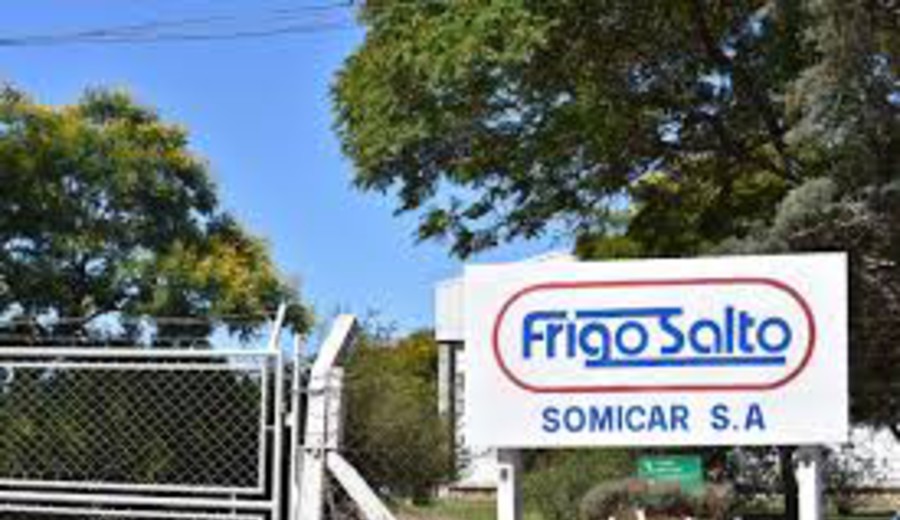 imagen de Justicia decreta concurso de acreedores para Somicar SA dueña del frigorífico Frigo Salto