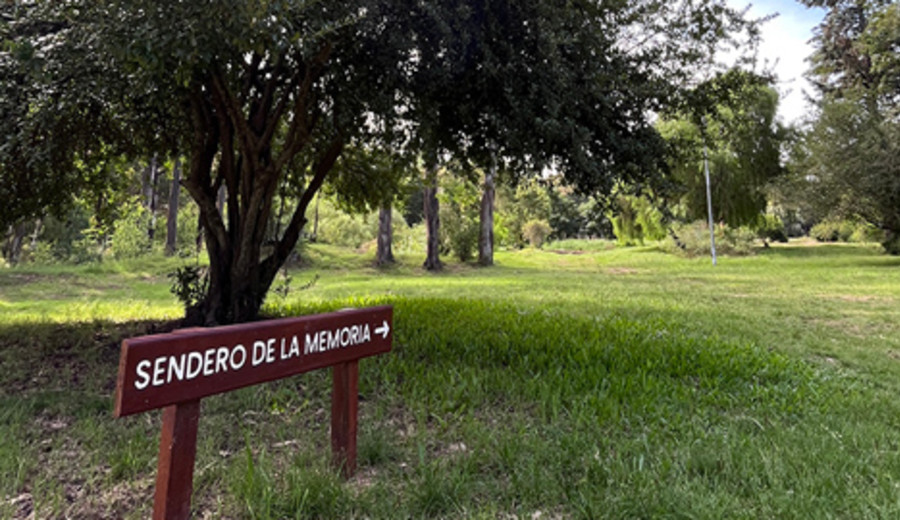 imagen de Nueva plantación de árboles en el Sendero de la Memoria