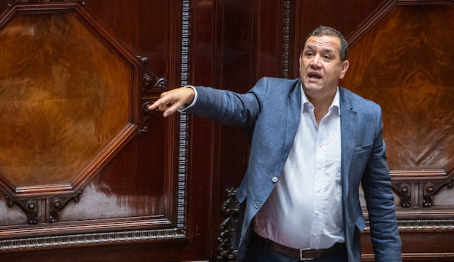 imagen de Senador Da Silva dijo que la victoria de Lema depende del “tamaño de las guampas de los montevideanos”