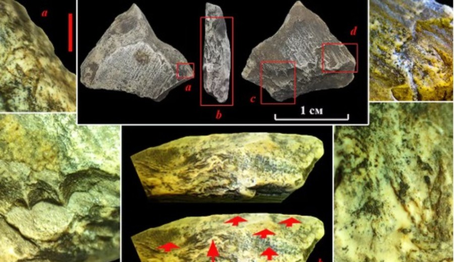 imagen de Encuentran herramientas de más de 400.000 años