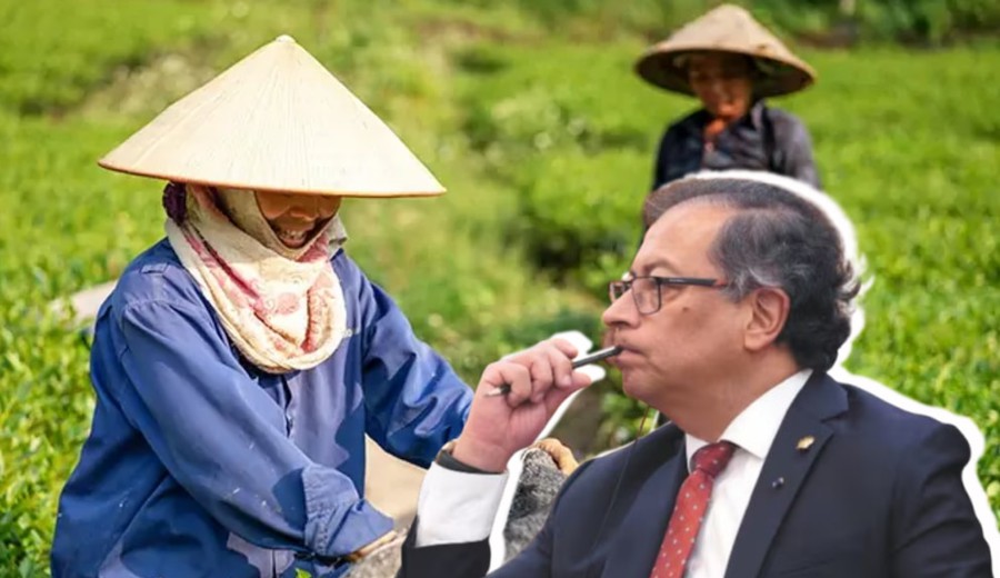 imagen de Gustavo Petro confirmó que firmará con China su adhesión a la Ruta de la Seda a pesar de las críticas y las advertencias