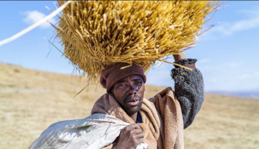 imagen de "Lesotho solo ha sobrevivido tanto tiempo gracias al apartheid". Michael Mansilla