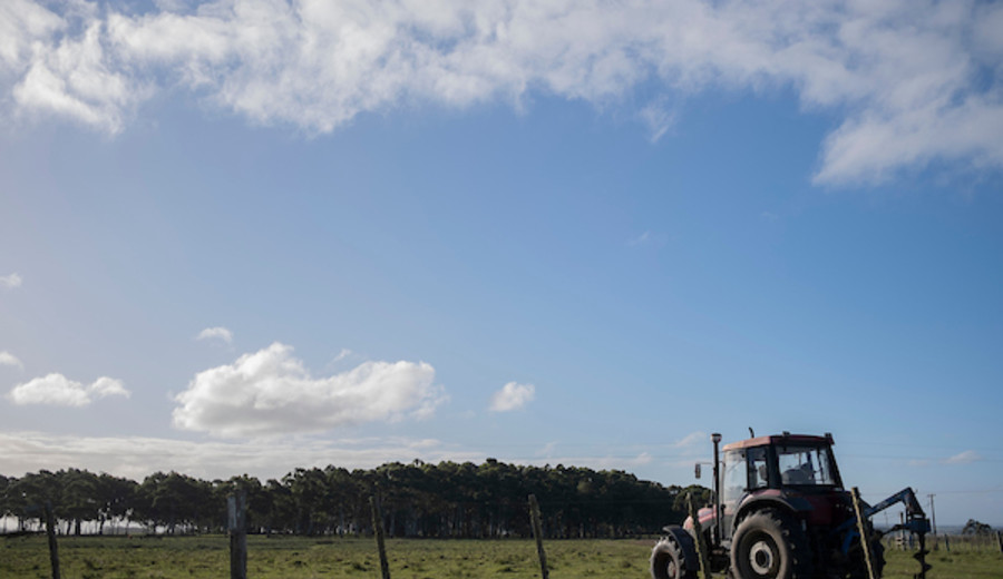 imagen de Comisión de Fomento Rural respaldó adquisición de campo de 4.400 hectáreas para el Instituto de Colonización