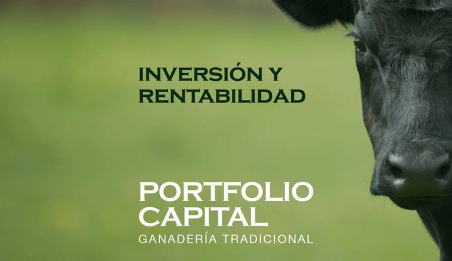 imagen de Portfolio Capital debe US$ 15 millones a 403 inversores y gestionaba un “fondo” sin autorización del BCU