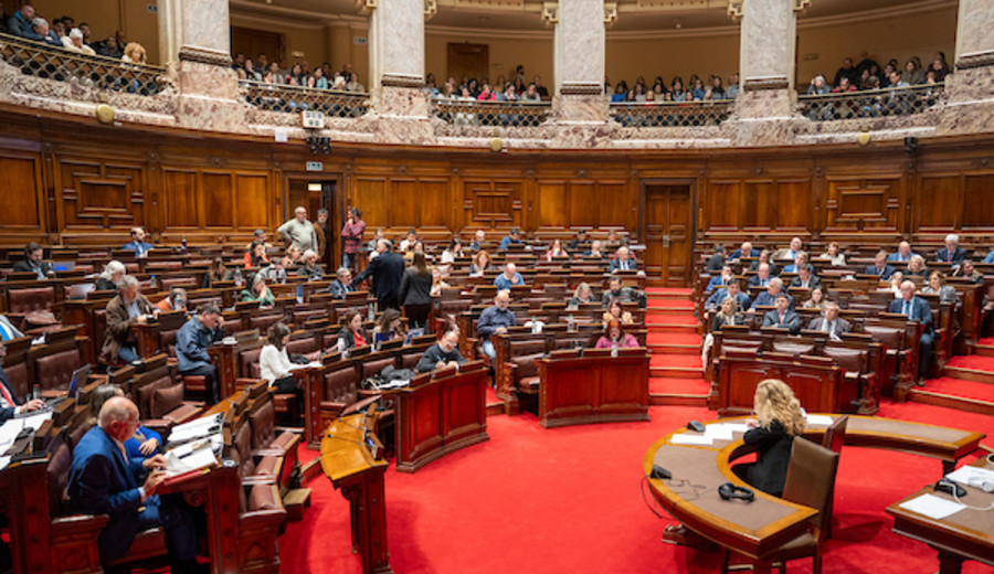 imagen de Diputados aprobó, sin acuerdo en su financiación, proyecto de reforma de Caja de Profesionales