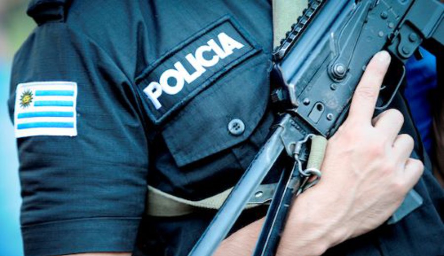 imagen de Renunció, por motivos personales, el subdirector ejecutivo de la Policía Nacional