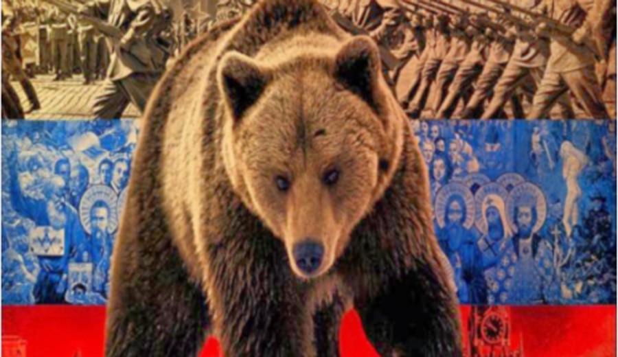 imagen de El silencio de los osos