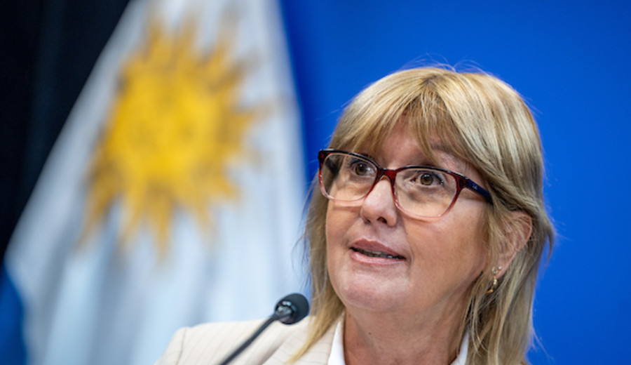 imagen de Lustemberg, Oddone y Mahía son los ministros con más aprobación del gobierno, según Usina de Percepción Ciudadana