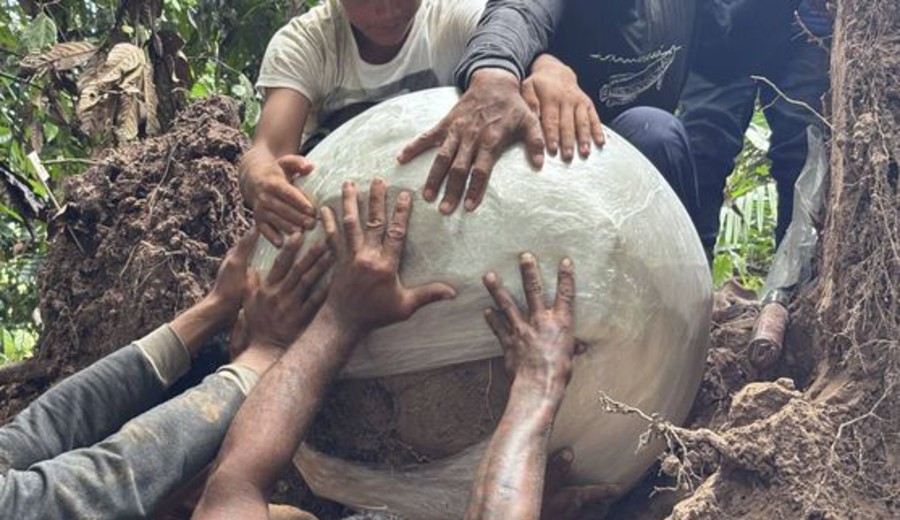 imagen de Amazonia: Un árbol cae y deja al descubierto siete esferas con restos humanos y animales
