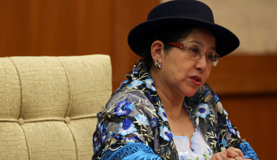 imagen de Bolivia denunció ante la OEA que disturbios promovidos por Evo Morales ponen en riesgo las elecciones del 17 de agosto
