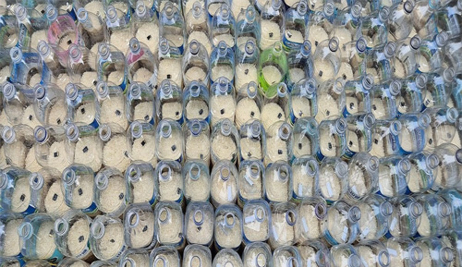 imagen de Seis estadounidenses son detenidos por intentar enviar botellas con arroz y dólares a Corea del Norte