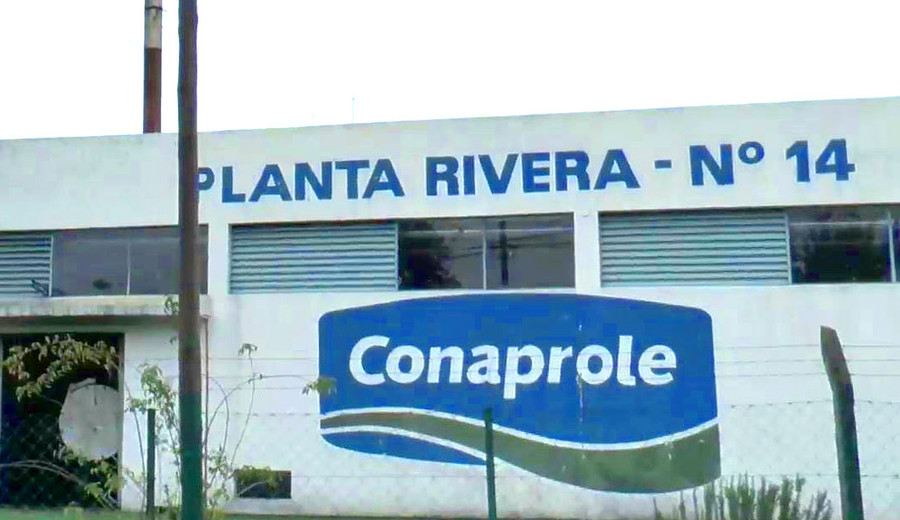 imagen de Rivera: Trabajadores de la industria láctea "en alerta" ante posible cierre de planta de Conaprole