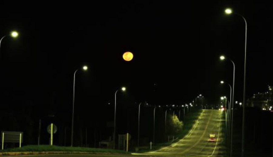 imagen de A veces las noches susurran