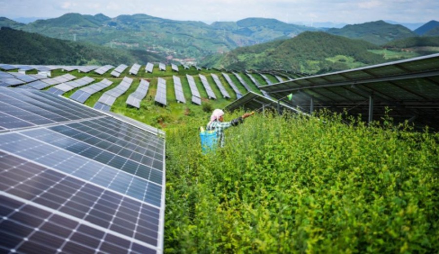 imagen de Generación eléctrica de principales empresas de China aumenta 1,7% en junio