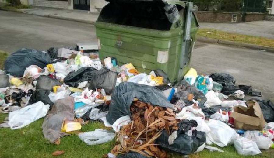 imagen de Basura en Montevideo: Intendencia anunció medidas para atender situaciones prioritarias
