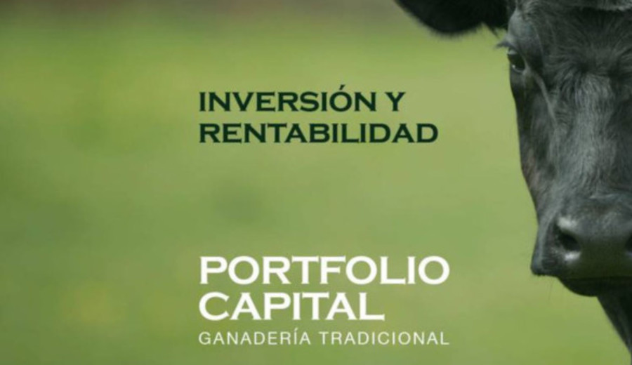 imagen de Justicia decretó el concurso necesario de otro fondo dedicado al ganado, Portfolio Capital
