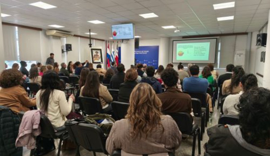 imagen de Afrodescendencia y empleo