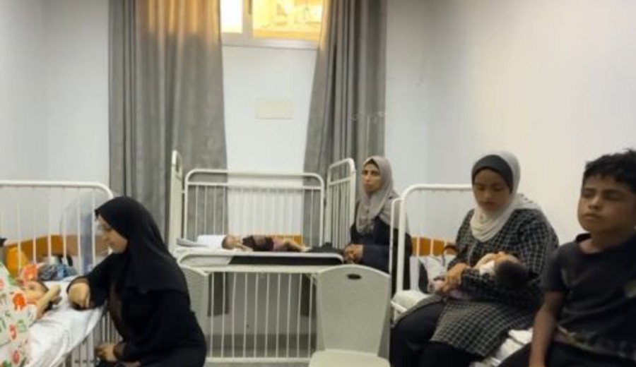 imagen de 1 de cada 4 niños sufre desnutrición en Gaza