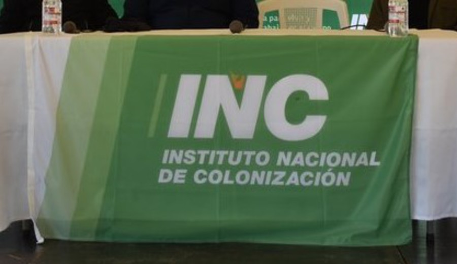 imagen de Adquisición de estancia María Dolores no fue compra directa, según informe de Universidad CLAEH