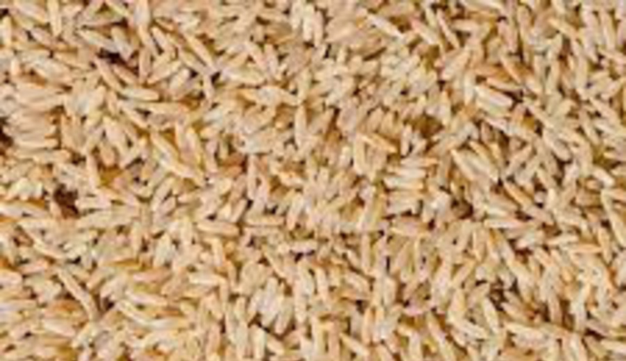 imagen de Estatal boliviana fue engañada y no puede recuperar nueve millones de dólares de fallida importación de arroz argentino