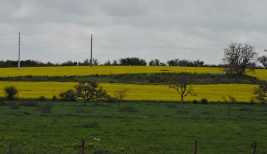 imagen de Profunda crisis estructural del agro argentino