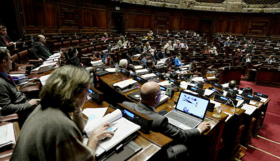 imagen de Este martes se vota en Diputados la ley de Eutanasia: quiénes la apoyan