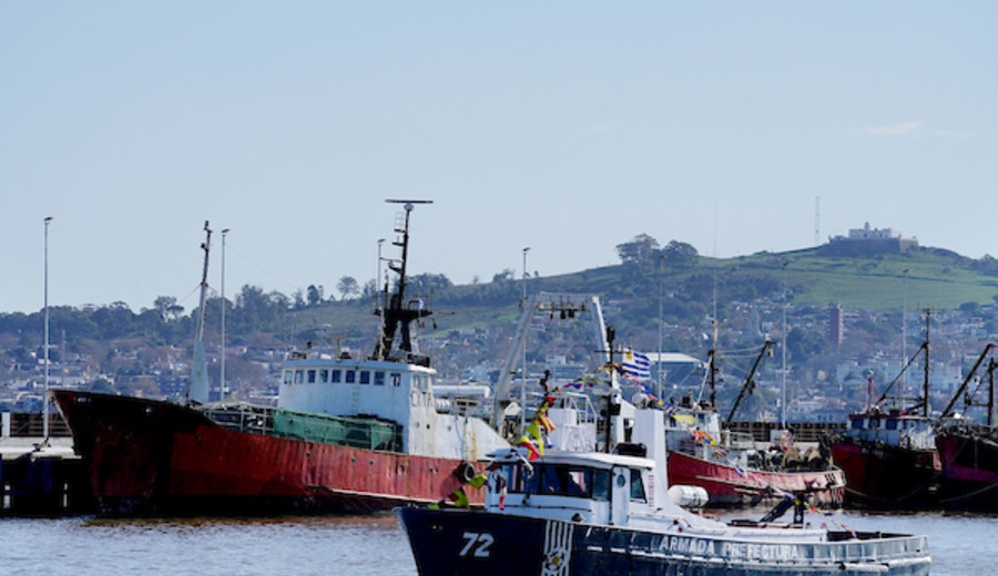 imagen de Cámaras pesqueras reunieron 4.763 trabajadores por fuera del sindicato