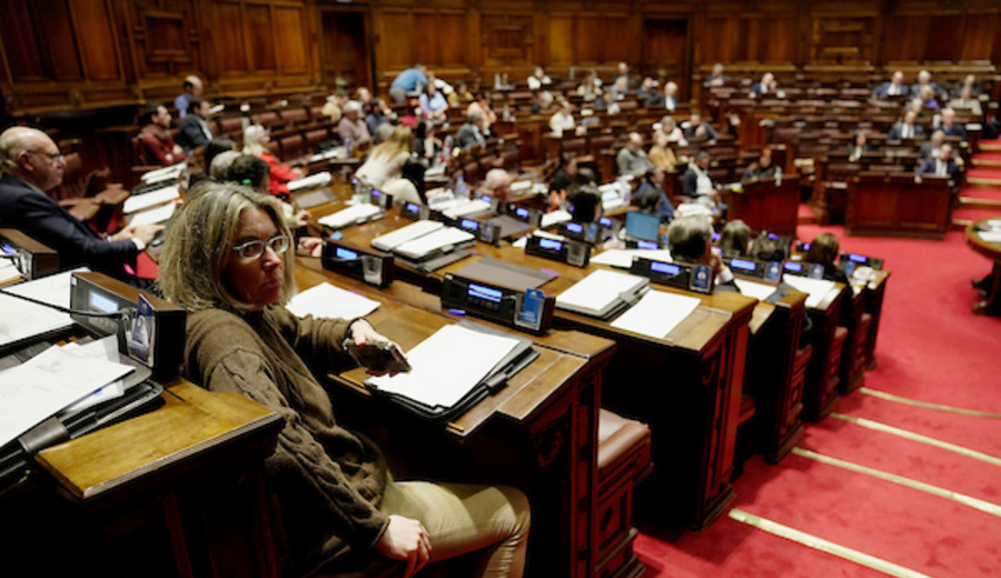 imagen de Los ocho pasos de la eutanasia que prevé el proyecto de ley que debate Diputados: Dos médicos y varias entrevistas