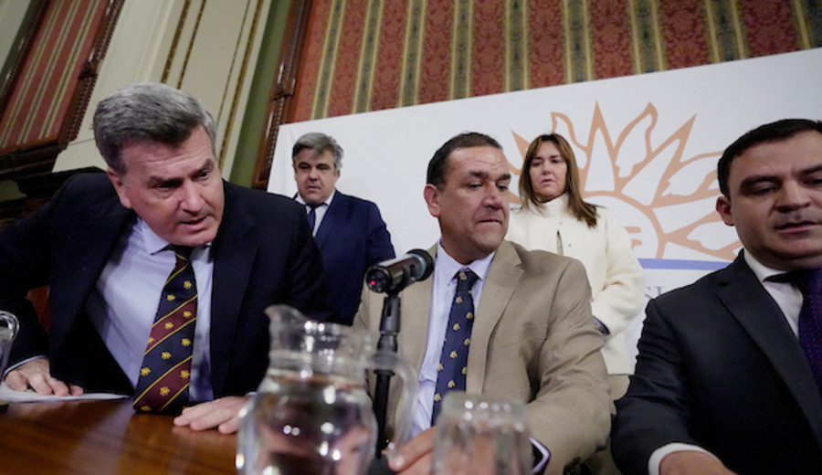 imagen de Blancos y colorados solicitarán comisión investigadora por compra de María Dolores: incorporación es “inconstitucional”