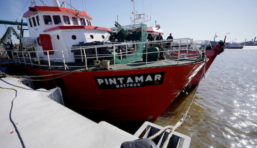 imagen de Conflicto pesquero: empresas trabajarán “con quienes quieran hacerlo, sin importar que diga la dirigencia sindical”