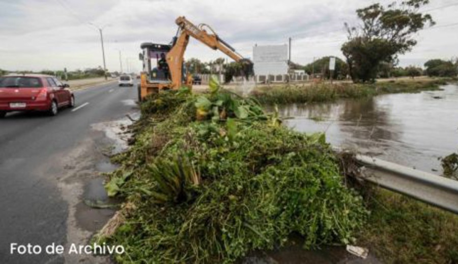 imagen de Gobierno de Canelones da respuesta ante daños generados por el temporal