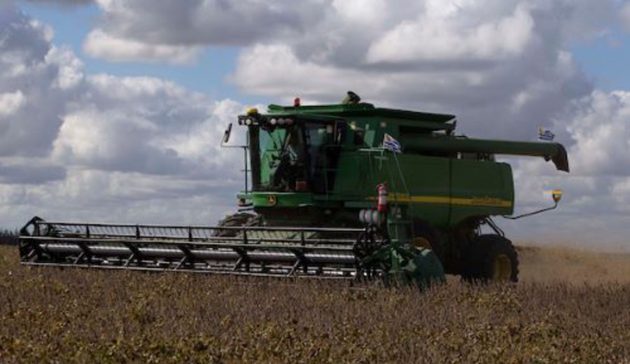 imagen de Optimización de la agroindustria: se firmó convenio para iniciar proyecto de inteligencia artificial aplicada a la soja