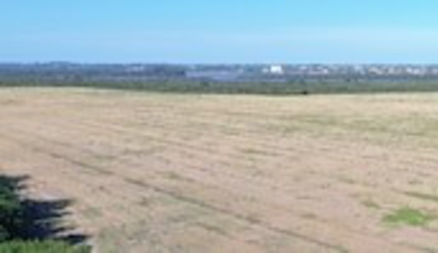 imagen de HIF inició trámite para construir un proyecto de hidrógeno verde en Uruguay