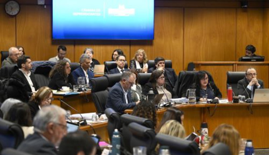 imagen de Ejes de gestión en desarrollo territorial y descentralización: autoridades del MEC presentaron presupuesto en Parlamento