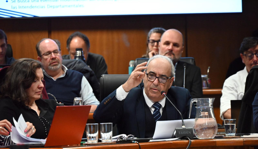 imagen de MGAP presentó presupuesto con prioridad en lucha contra la garrapata, programa Procría y modificaciones tributarias