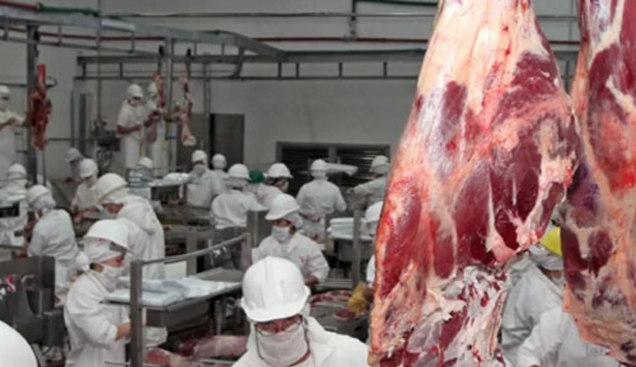 imagen de Exportaciones de carne bovina de Paraguay suben 10,5 por ciento al cierre del tercer trimestre del año