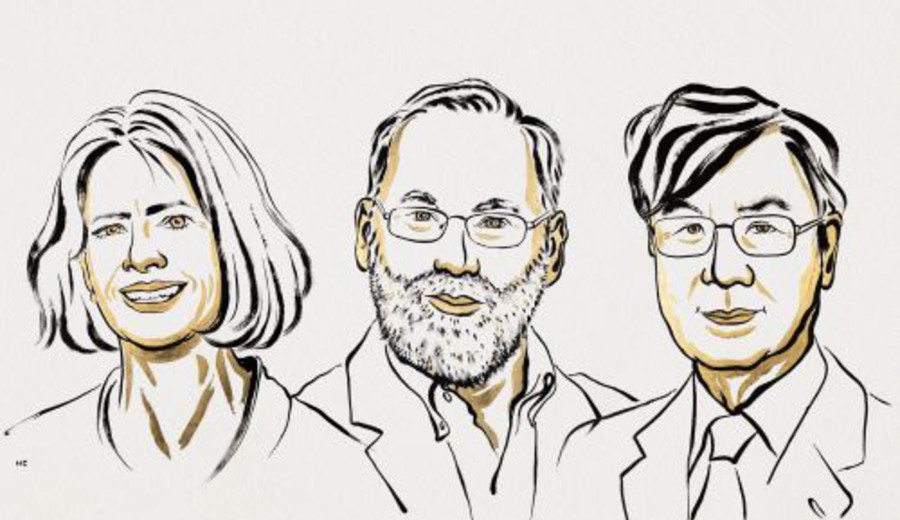 imagen de Nobel de Medicina a tres científicos “por sus descubrimientos sobre la tolerancia inmunitaria periférica”