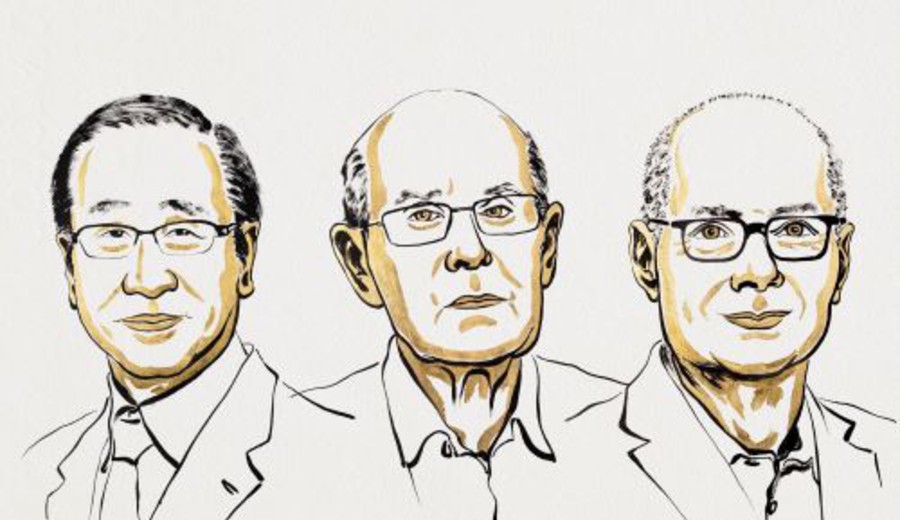 imagen de Nobel de Química para Susumu Kitagawa, Richard Robson y Omar Yaghi por el “desarrollo de estructuras metalorgánicas”