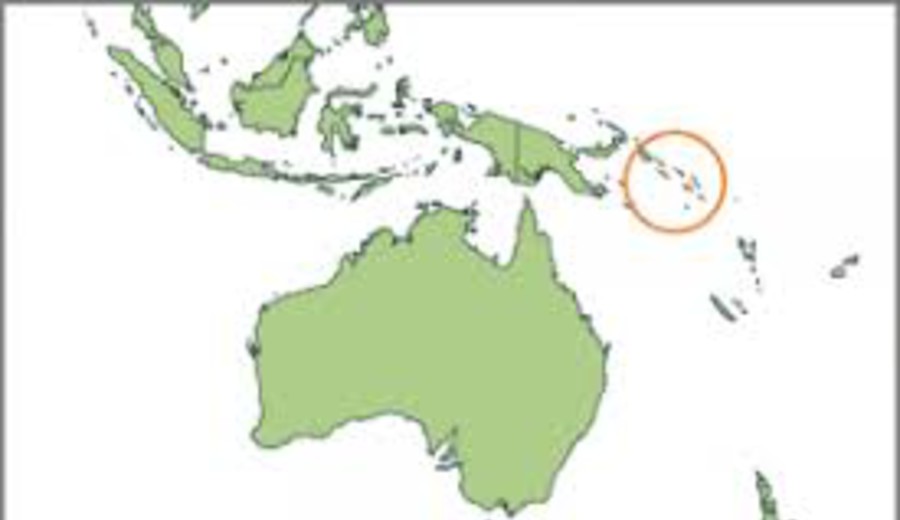 imagen de Se cumple un año del descubrimiento del coral más grande del mundo