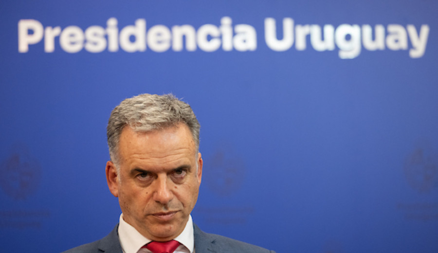 imagen de Gestión del gobierno: 29% desaprueba, 26% aprueba y 40% respondió “ni buena ni mala”, según Opción